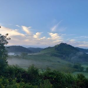 Meet your Posher, Isabelle